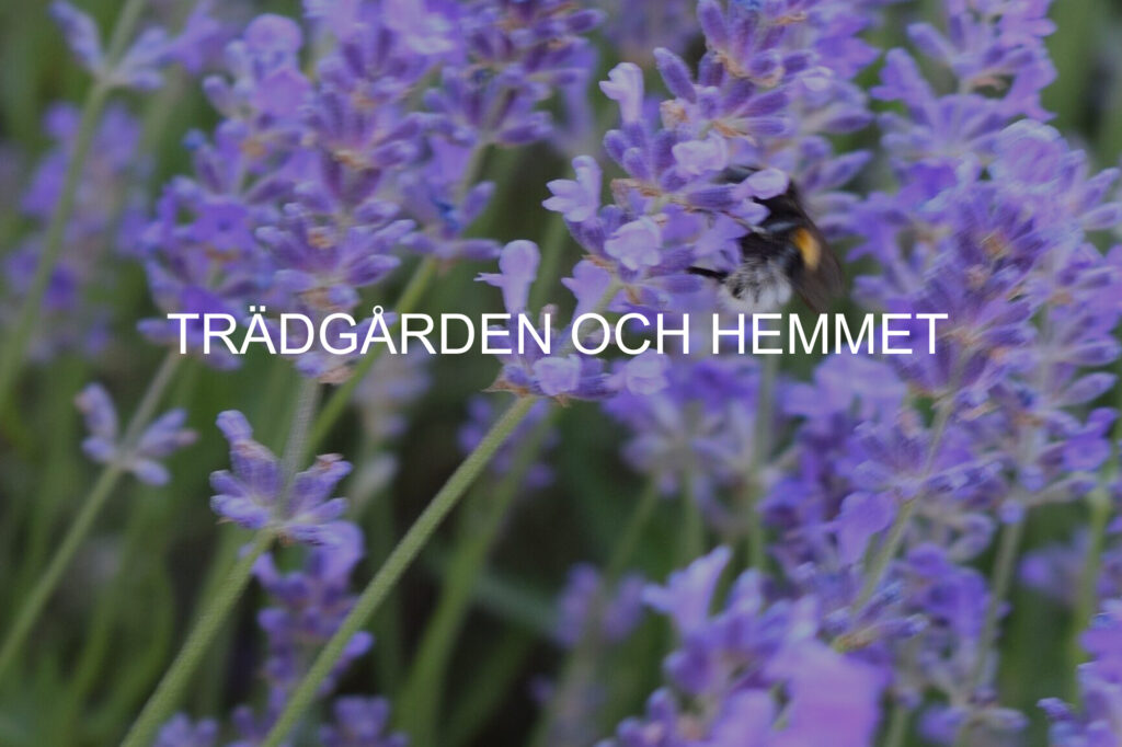 uteliv, trädgården och hemmet