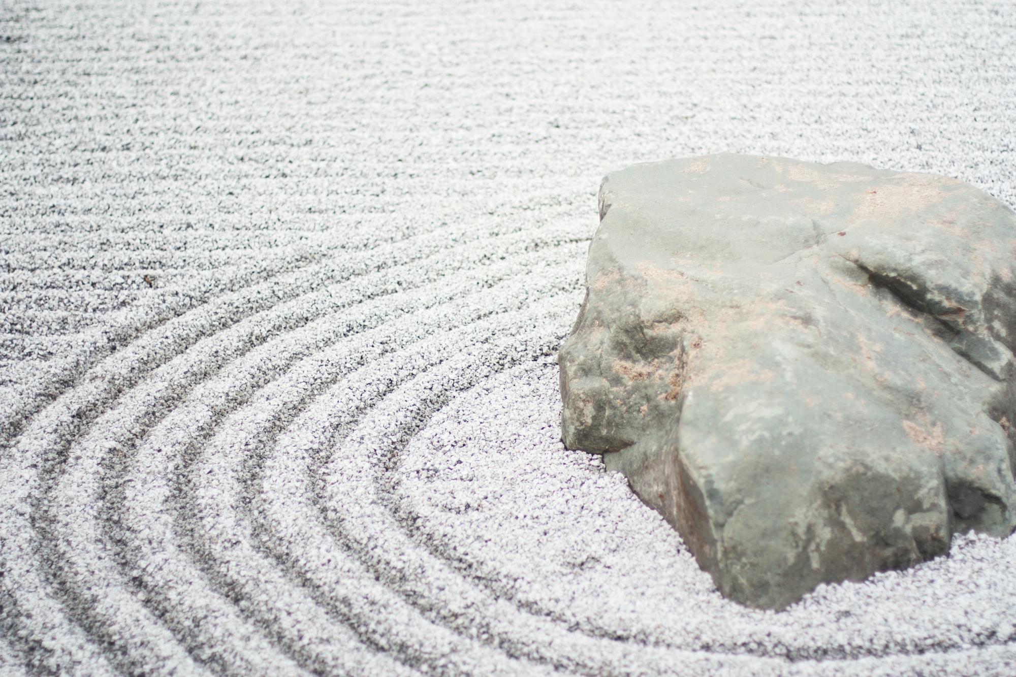 Trädgårdarbete som meditation