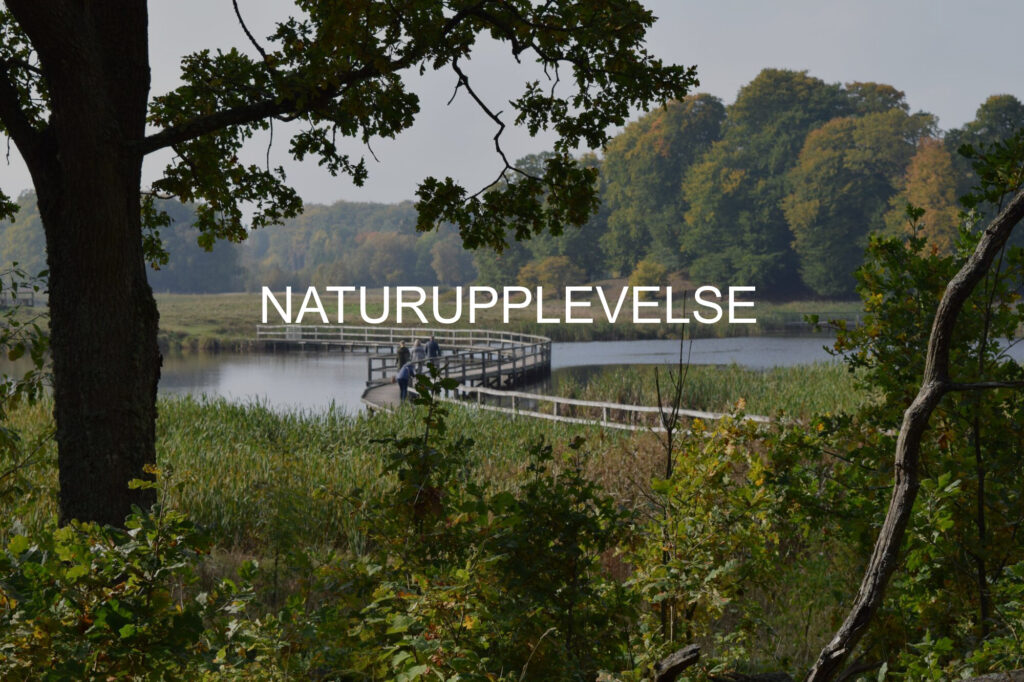 Uteliv, naturupplevelse