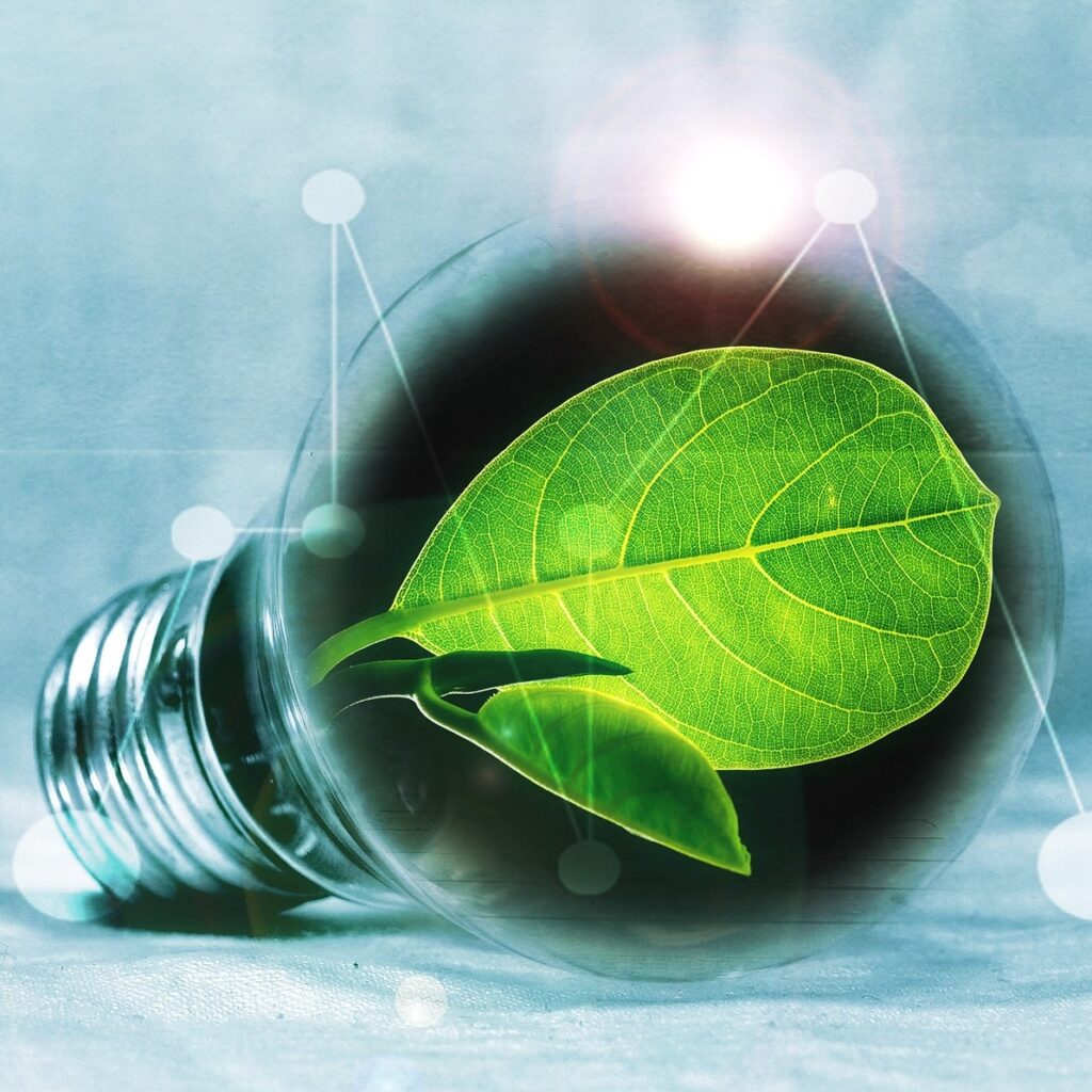 Trädgården och hemmet, energibesparingar