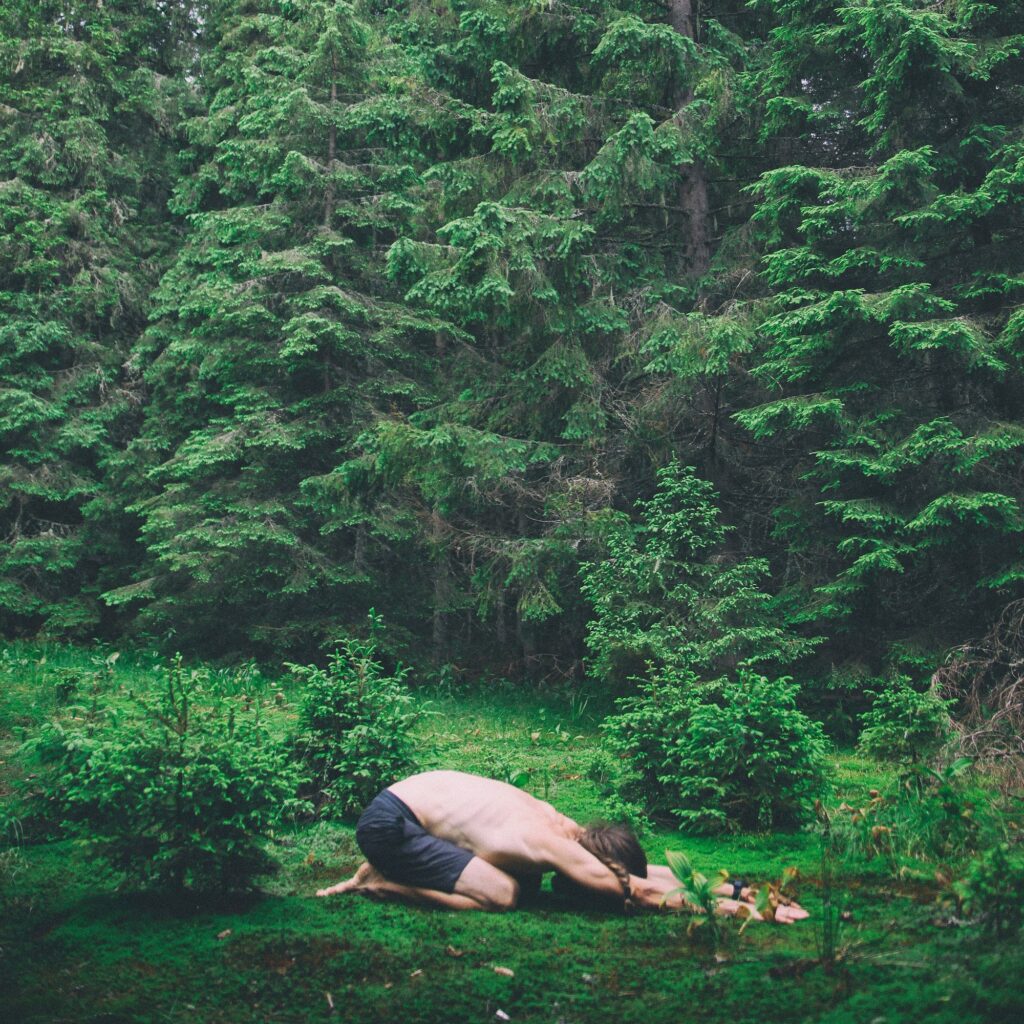 yoga i skogen